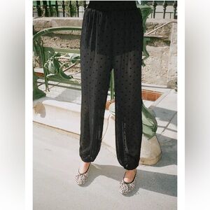 Zara Elegant Black Sheer Pants